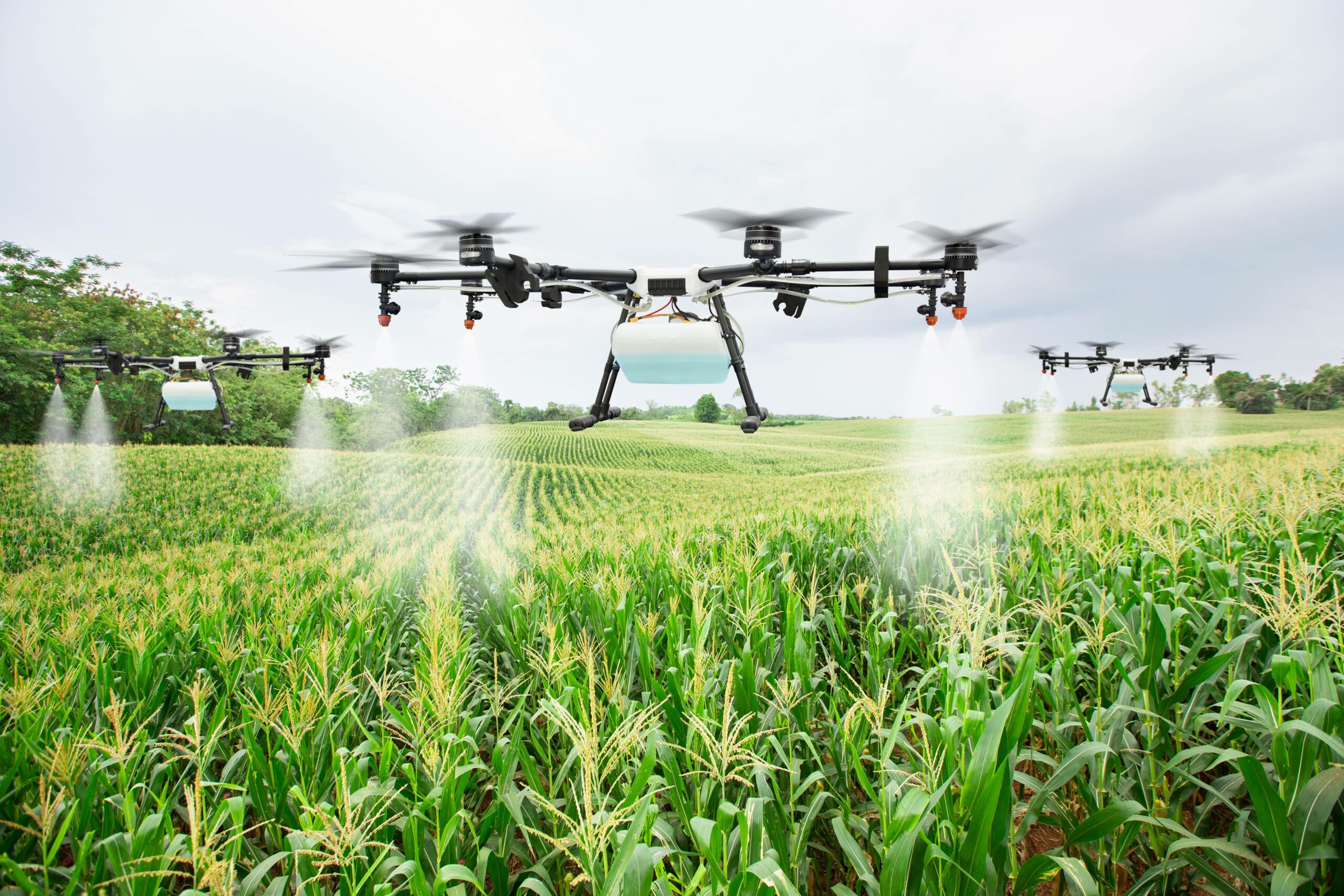 Drohnen-Einsatz in der Landwirtschaft: Effiziente Lösungen für Pflanzenschutz und Ernteüberwachung