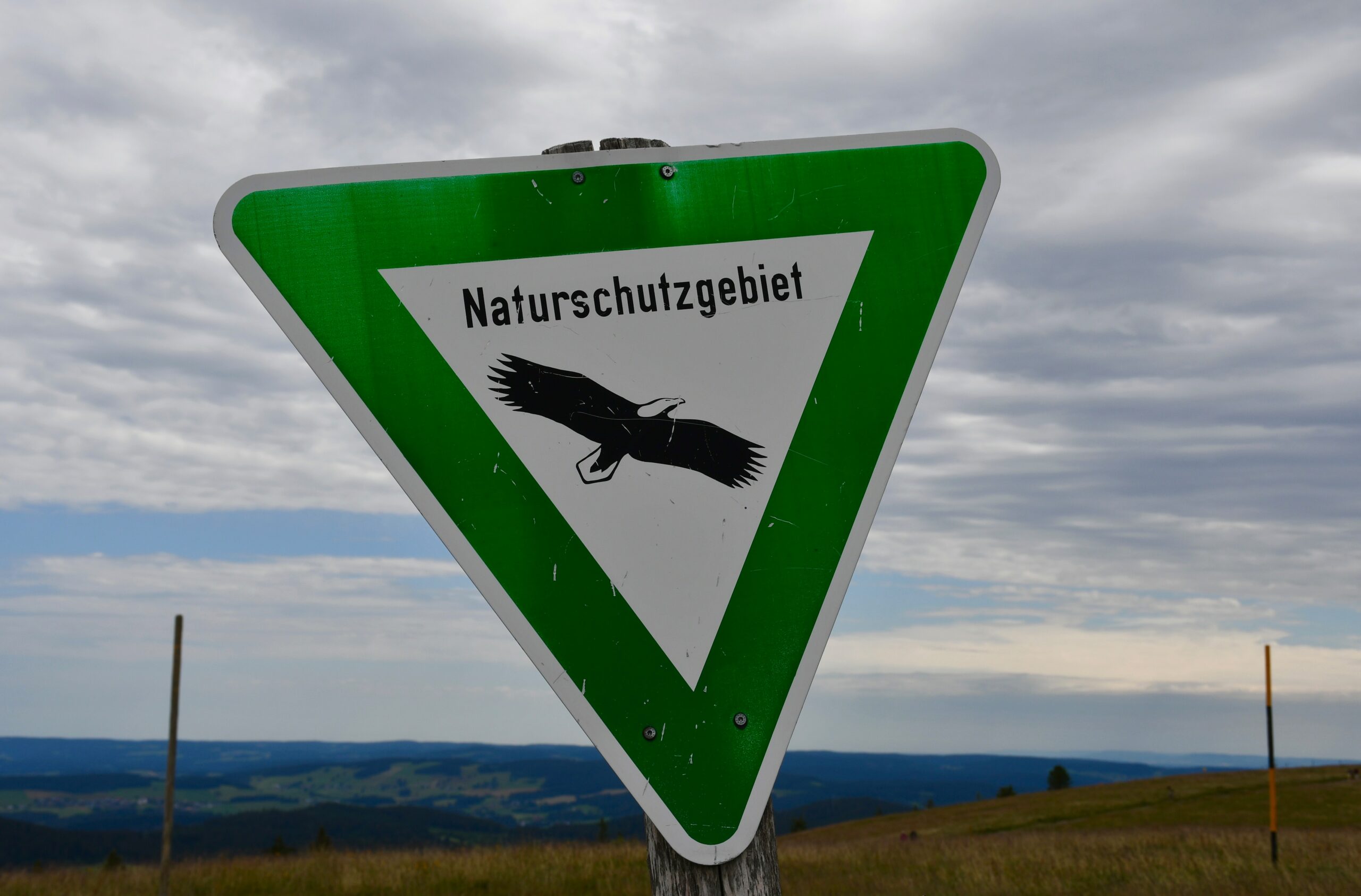 Drohnen und Umweltschutz: Überwachung von Naturschutzgebieten und Wildtierpopulationen